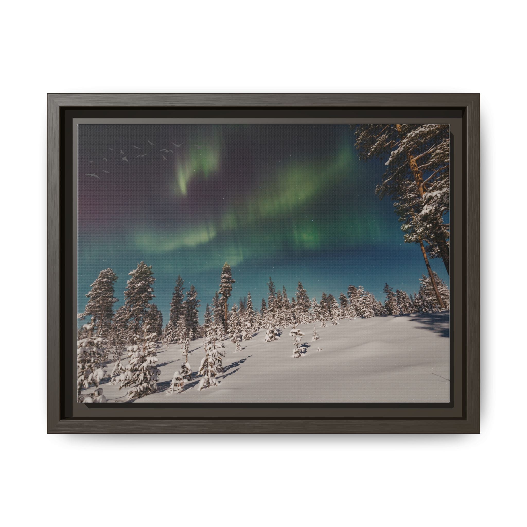 Framed Matte Canvas Print — Northern Lights Aurora Over Snowy Forest