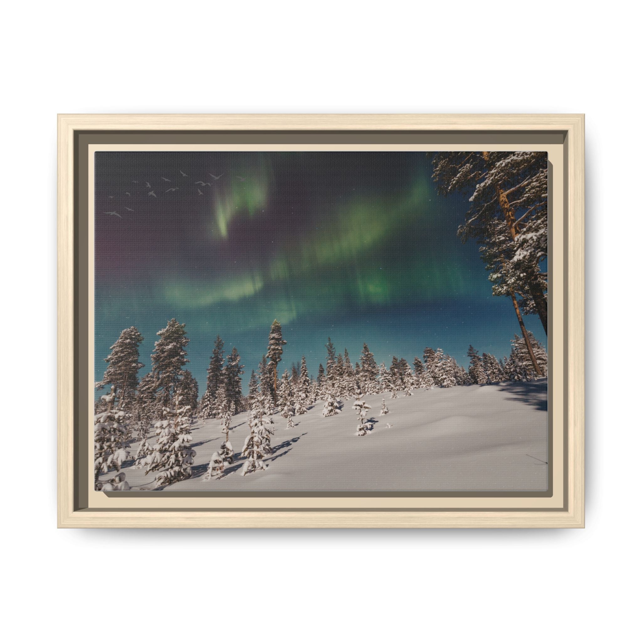 Framed Matte Canvas Print — Northern Lights Aurora Over Snowy Forest