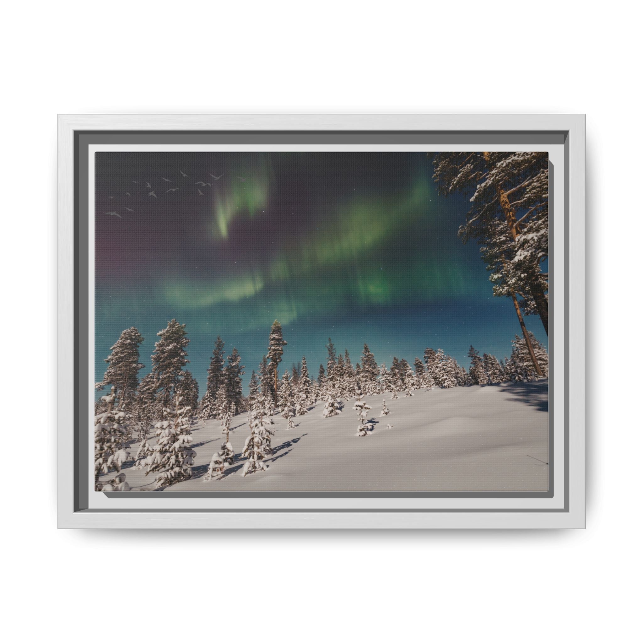 Framed Matte Canvas Print — Northern Lights Aurora Over Snowy Forest